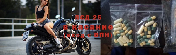 дживик Верхний Тагил