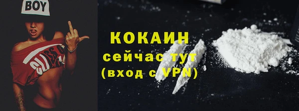 дживик Верхний Тагил