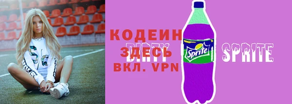 дживик Верхний Тагил