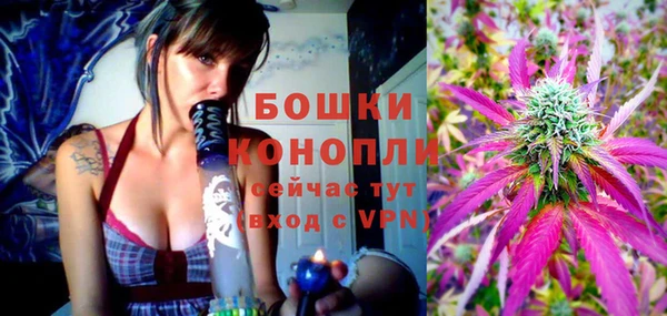 дживик Верхний Тагил