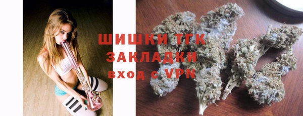 мдпв Верея