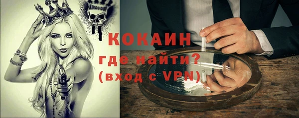 дживик Верхний Тагил