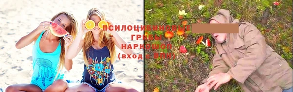 дживик Верхний Тагил